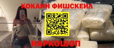 крисы Кулебаки