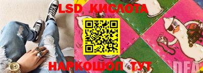 крисы Кулебаки