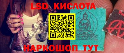крисы Кулебаки