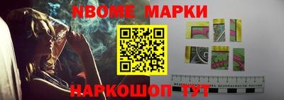 крисы Кулебаки
