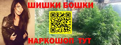 крисы Кулебаки