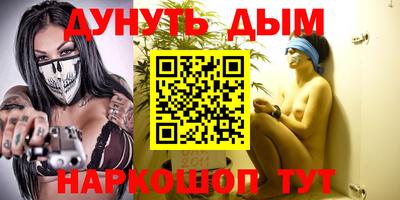 крисы Кулебаки