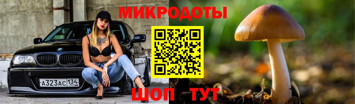 Псилоцибиновые грибы Psilocybe  Вход с VPN  Трёхгорный 