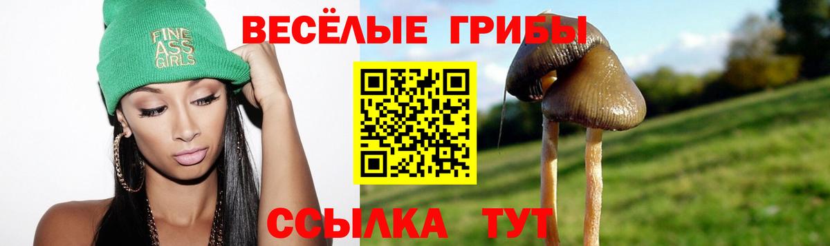 Галлюциногенные грибы GOLDEN TEACHER Трёхгорный